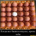 0DE38844-BEDE-4906-89CE-91956B5DA087.jpg