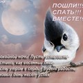 ftG1-cdFxvQ.jpg