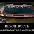 ВЕЖЛИВОСТЬ.jpg