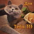 для тебя.jpg
