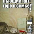 c071185b4b645ec7ffeb2db17e1b7bf4.jpg