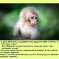 c0e242e3-5074-4df6-a461-e988069826d6.jpg