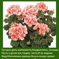 dd7cd5d2-d79b-4c33-8b27-7df81b8ffd30.jpg