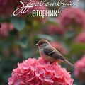 Здравствуй Вторник.jpg