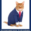 С Днём Галстука.jpg