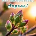 НУ ЗДРАВСТВУЙ АПРЕЛЬ - ДОБРОЕ УТРО.jpg