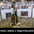 77fe20f4 1.jpg