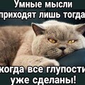 4cfee456-45c5-4a1a-8e65-86fbe14d6774.jpg
