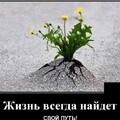 0d0636c9-e387-4a8c-b99a-9d46a71a7597.jpg