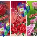 i id83440e58cdd8060255eb6db4f5c96d39 sr-6269729-images-thumbs n13 q60.jpg