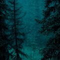 173a4c0a45a4a7d490aab4bbb9befe65.jpg