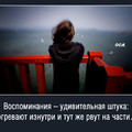 image-7.jpg