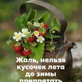 Лето.jpg