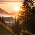a6a8f657ab1e59a0caa782ff5b827ae1.jpg