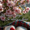 134c5fa86f6f399c1c6dd8abcceea80c.jpg