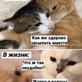 b508bafcfdcff21c64c3d72eef4eff49.jpg