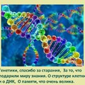 День ДНК.jpg