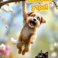 6b4ef0f88fa1a90a3b9145c22bb201d9.jpg