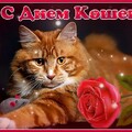 С Днём Кошек.jpg