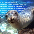IMG-20240219-WA0033.jpg