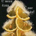 e804b2ca01e36388a9a39c0000c61481b32d147cd6cfe28dd2de783e278b8cf4 1.jpg