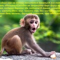 89823895-251a-4ebe-b57b-991d2e331af3.jpg