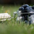 29418-eda chernika yagodyi food blueberries berries.jpg