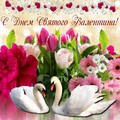 71d90d3d0de13c2715a75159f4fb39ce.jpg