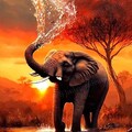 3deea3152953b4b0de2d254c19a7c0c2.jpg