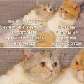 5c00fe6440b54d9e406279321aba9ddf.jpg