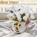 IMG-20250510-WA0000.jpg