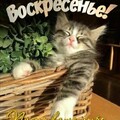 ВОСКРЕСЕНЬЕ.jpg