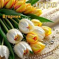 Доброе Утро ВТОРНИК.jpg