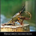 2315ec95-e70c-449e-acc1-5d94520d6bec.jpg