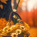 3f1ca9c8d49e6f6c21aeb1ce2be0477e.jpg