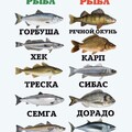 633f57f56b5b708f5397bd7431e8adaa.jpg