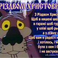 PFn7zUyD5ZI.jpg