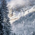 8e24299eb19103422f69e258564617f7.jpg