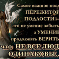 image (5).png