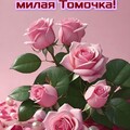 4d3cbc211fa342865390dcb44ddc3207.jpg