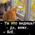 004550cc5352bca893ec329b0a53917f.jpg