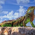 Image from million-wallpapers ru (30).jpg