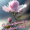 IMG-20240419-WA0012.jpg