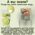 1f8937ff0823c9afad73b8388c16ce68.jpg