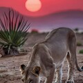 88452affe156dfc956e353f83478b72a.jpg