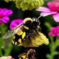 a38310746827a7610acf1684e868d649.jpg