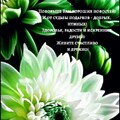 С Добрым Утром.jpg