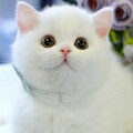 b46c48f46a98f18a918071fb1c663dd3.jpg