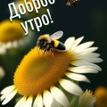 Доброе Утро.jpg