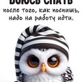 bfd1ea3a-252a-4996-91d1-aac389775ddc.jpg